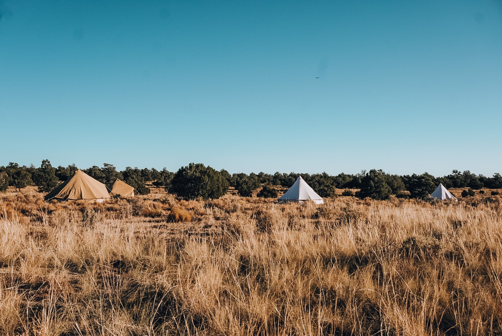 Grand Canyon National Park Glamping | Arizona | Wander Camp