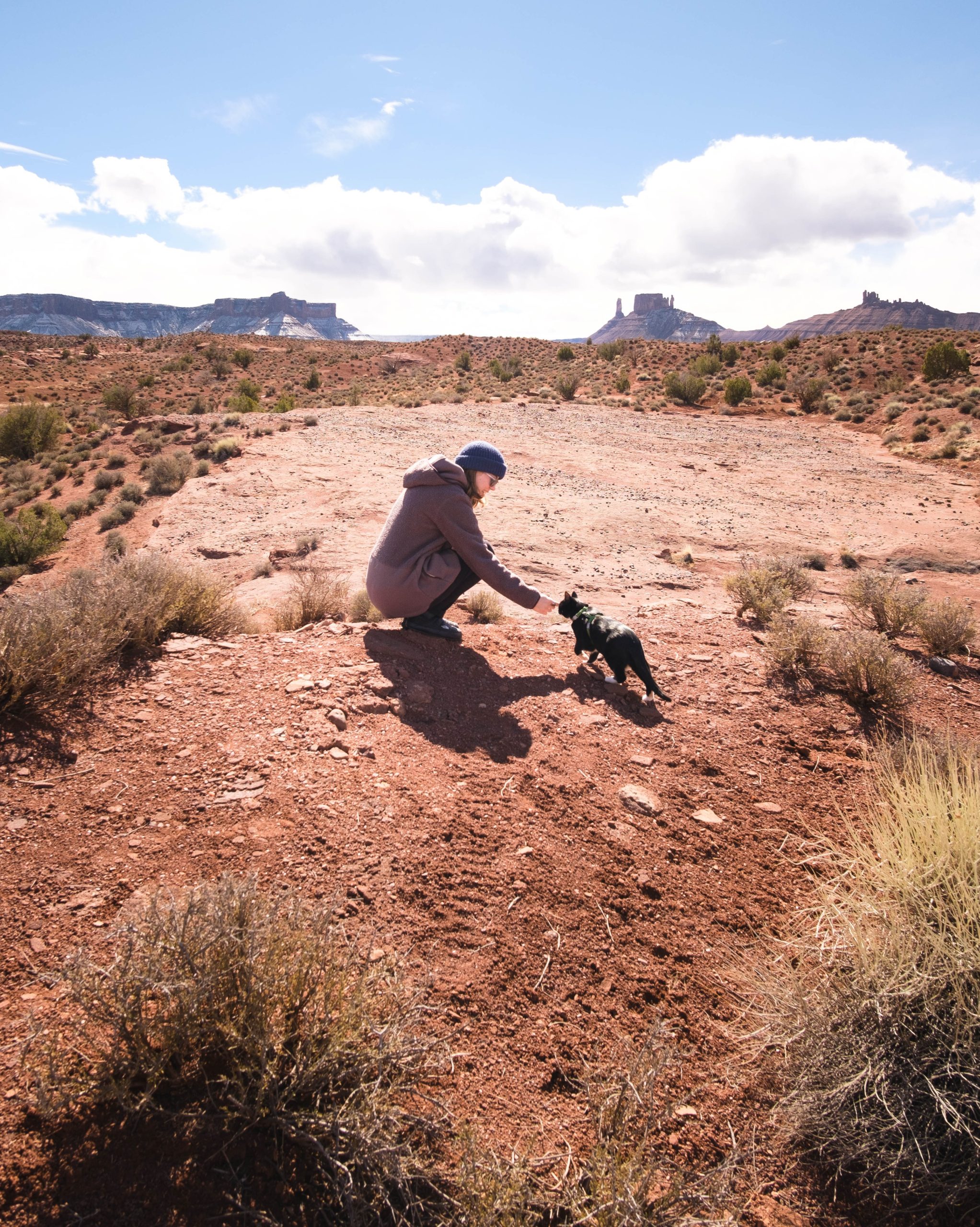 Dog friendly clearance hikes near yellowstone